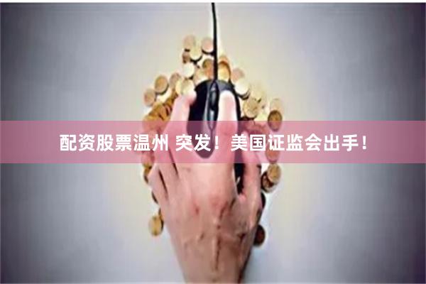 配资股票温州 突发！美国证监会出手！