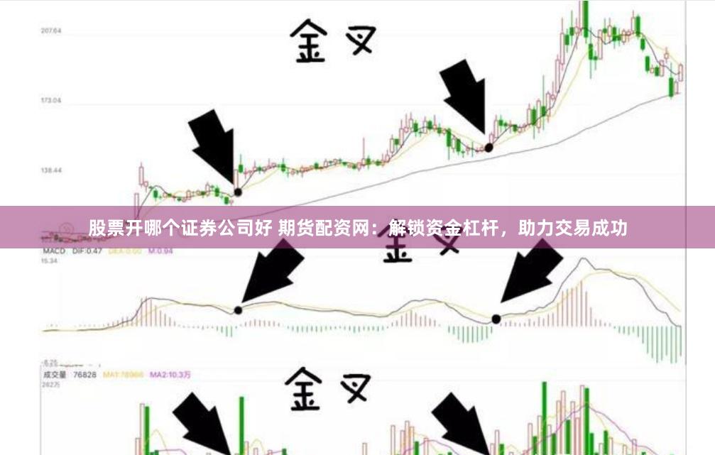 股票开哪个证券公司好 期货配资网:解锁资金杠杆,助力交易成功