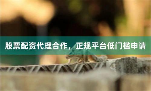 股票配资代理合作，正规平台低门槛申请