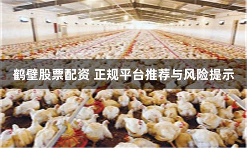 鹤壁股票配资 正规平台推荐与风险提示